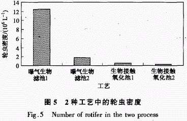 jk黑色丝袜美女被网站