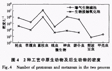 jk黑色丝袜美女被网站