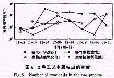 jk黑色丝袜美女被网站
