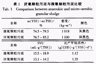 jk黑色丝袜美女被网站
