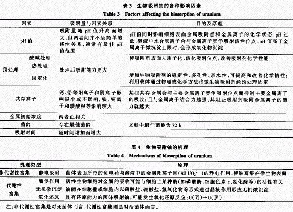 jk黑色丝袜美女被网站