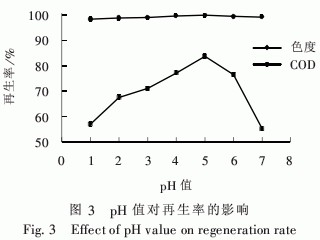 jk黑色丝袜美女被网站