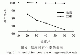 jk黑色丝袜美女被网站