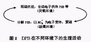 jk黑色丝袜美女被网站