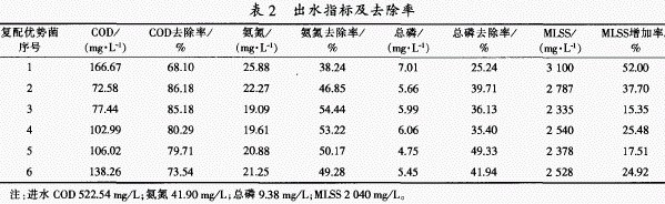 jk黑色丝袜美女被网站