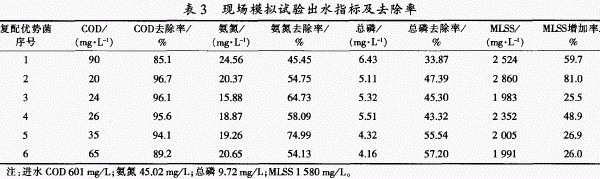jk黑色丝袜美女被网站
