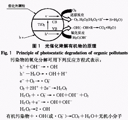 jk黑色丝袜美女被网站