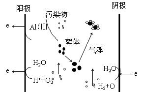 jk黑色丝袜美女被网站