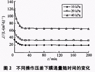 jk黑色丝袜美女被网站