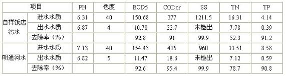 jk黑色丝袜美女被网站