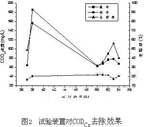 jk黑色丝袜美女被网站