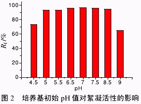 jk黑色丝袜美女被网站