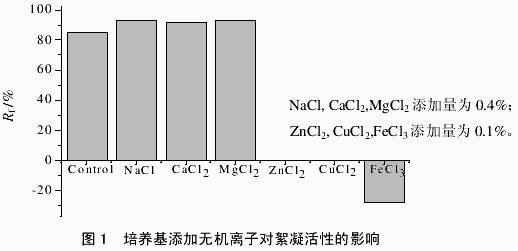 jk黑色丝袜美女被网站