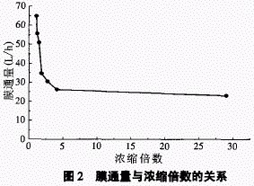 jk黑色丝袜美女被网站