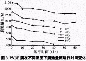 jk黑色丝袜美女被网站