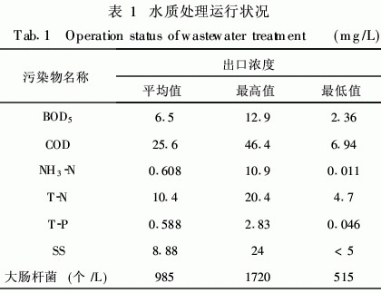 jk黑色丝袜美女被网站