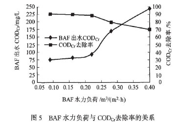 jk黑色丝袜美女被网站