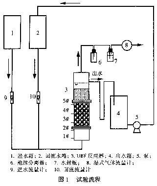 jk黑色丝袜美女被网站