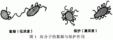 jk黑色丝袜美女被网站