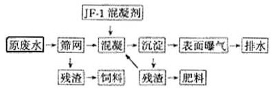 jk黑色丝袜美女被网站