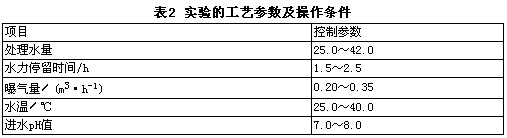 jk黑色丝袜美女被网站