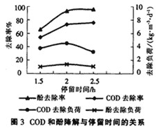 jk黑色丝袜美女被网站