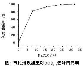 jk黑色丝袜美女被网站