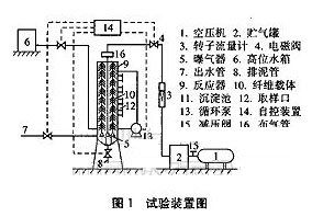 jk黑色丝袜美女被网站