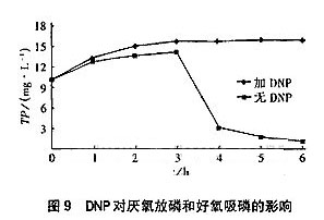 jk黑色丝袜美女被网站