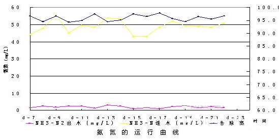 jk黑色丝袜美女被网站