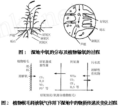 jk黑色丝袜美女被网站