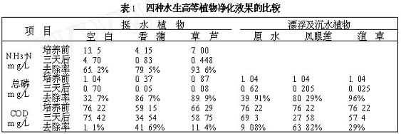 jk黑色丝袜美女被网站