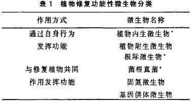 jk黑色丝袜美女被网站