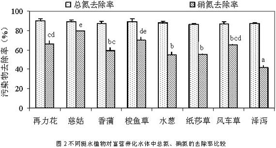 jk黑色丝袜美女被网站