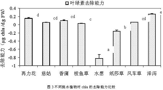 jk黑色丝袜美女被网站
