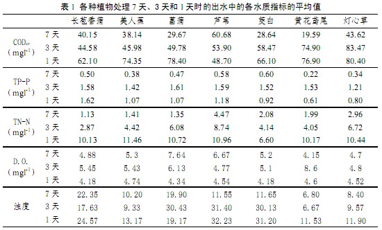 jk黑色丝袜美女被网站