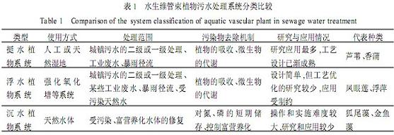 jk黑色丝袜美女被网站