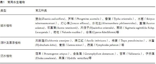 jk黑色丝袜美女被网站