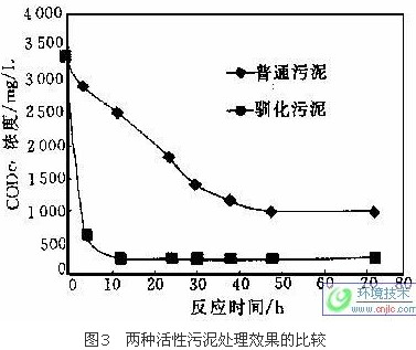 jk黑色丝袜美女被网站