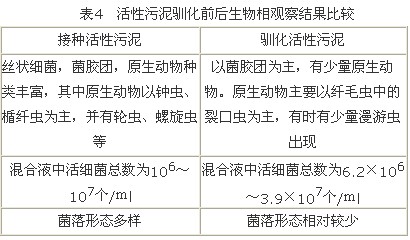 jk黑色丝袜美女被网站