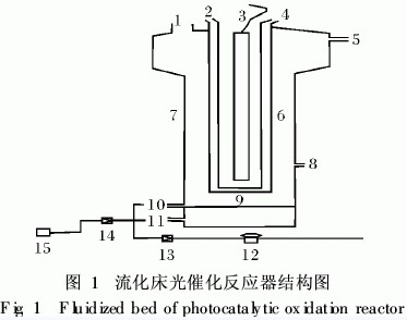 jk黑色丝袜美女被网站