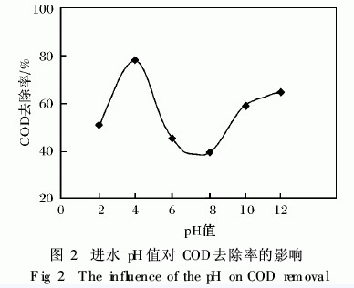 jk黑色丝袜美女被网站