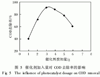 jk黑色丝袜美女被网站