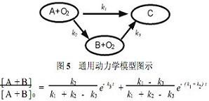 jk黑色丝袜美女被网站