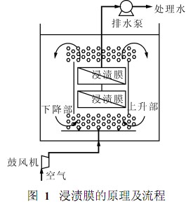 jk黑色丝袜美女被网站