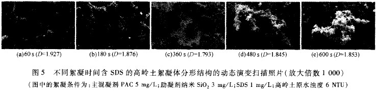 jk黑色丝袜美女被网站