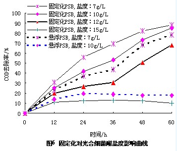 jk黑色丝袜美女被网站