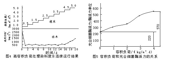 jk黑色丝袜美女被网站