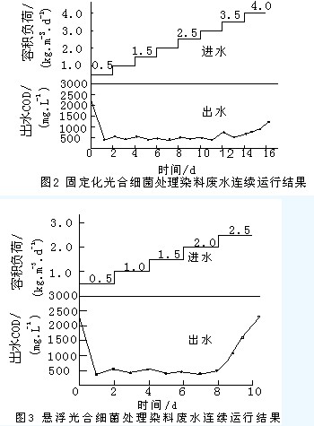 jk黑色丝袜美女被网站