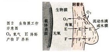 jk黑色丝袜美女被网站